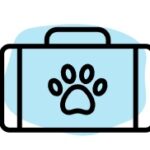 image 1 27 25 at 11.33 am 2