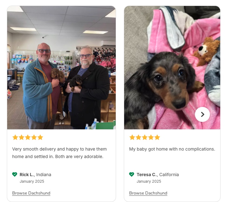 image 2 3 25 at 8.55 am (1)