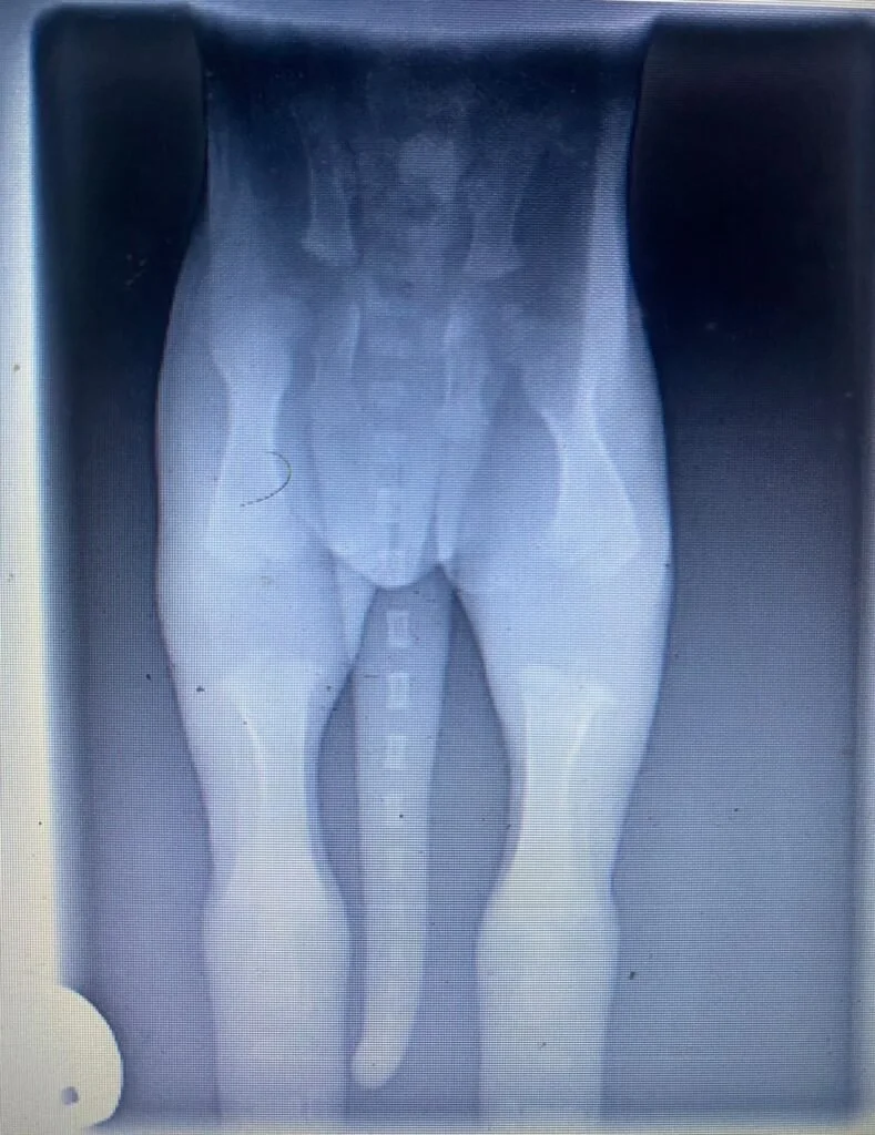 whatsapp image 2024 10 23 at 18.18.27 789x1024.jpeg.bv