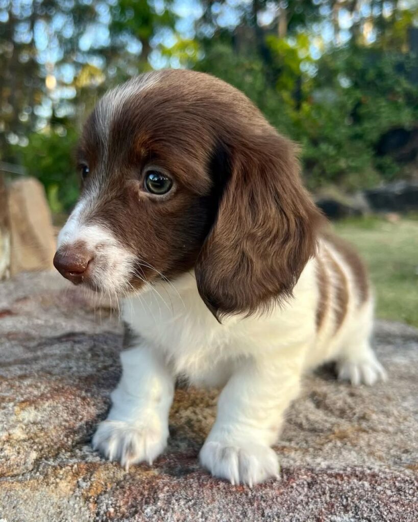 whatsapp imlkxhsdfage 2025 02 07 at 03.14.42 819x1024